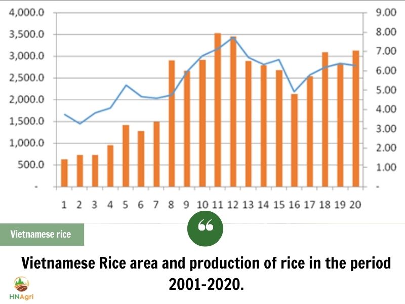vietnamese-rice-market-great-potential-you-can-not-ignore-2