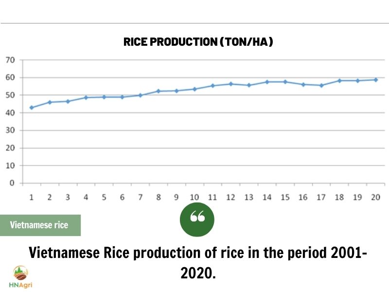 vietnamese-rice-market-great-potential-you-can-not-ignore-3