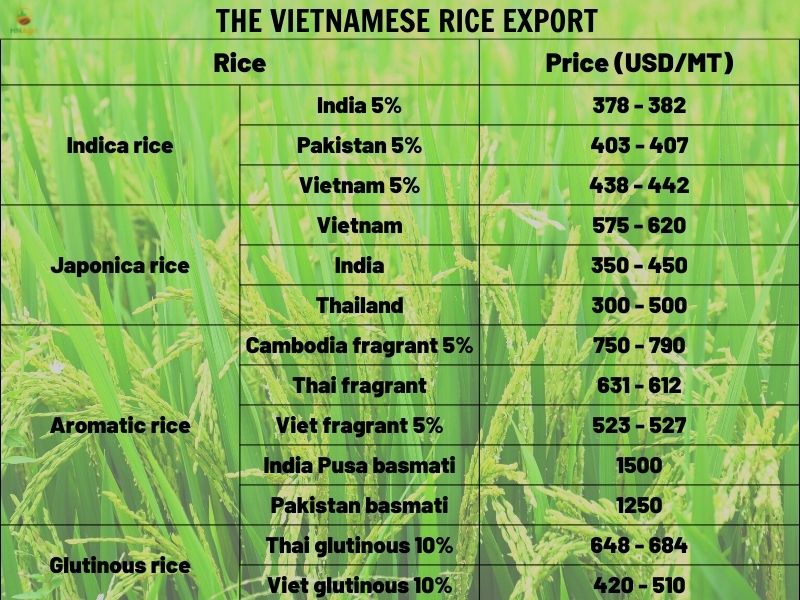 vietnamese-rice-market-great-potential-you-can-not-ignore-6