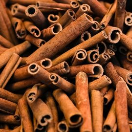 popular-type-of-cinnamon-in-the-world-cinnamon-stick