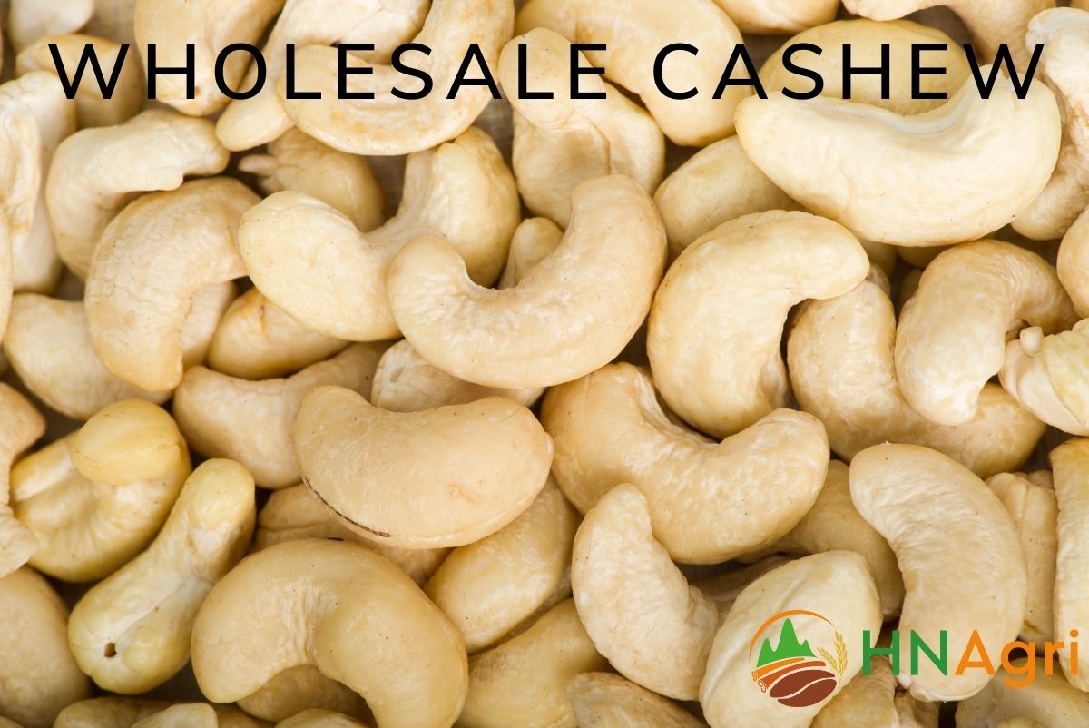 Wholesale Cashews The Important Things Wholesalers Must Know