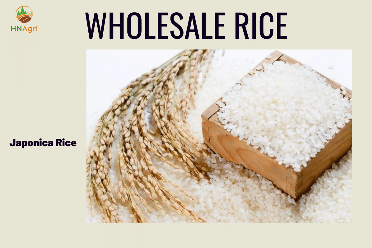all-about-wholesale-rice-for-your-sound-investment-3