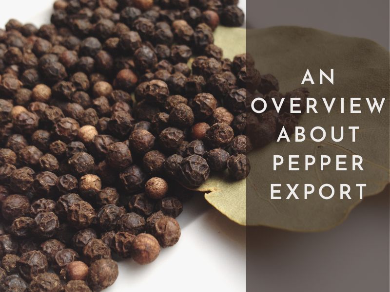 pepper-export-market-is-known-as-the-king-of-the-spices-world-1