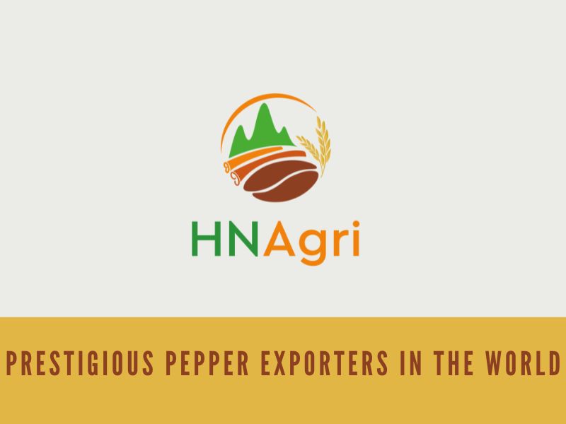 pepper-export-market-is-known-as-the-king-of-the-spices-world-11