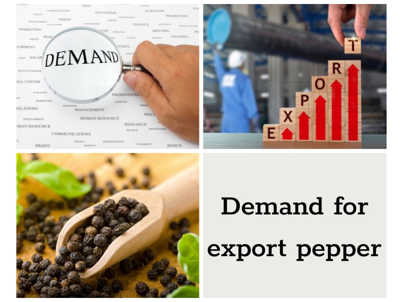 pepper-export-market-is-known-as-the-king-of-the-spices-world-2