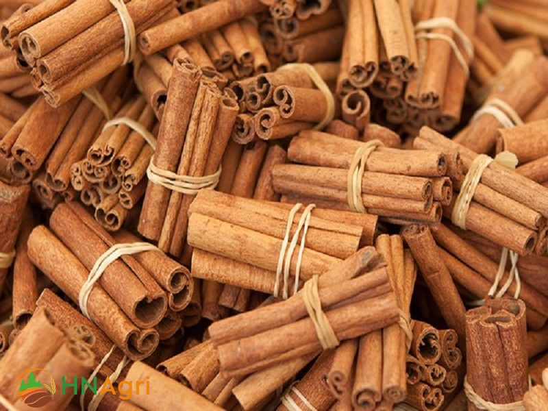 Vietnamese-Cigarette-Cinnamon-in-the-global-market