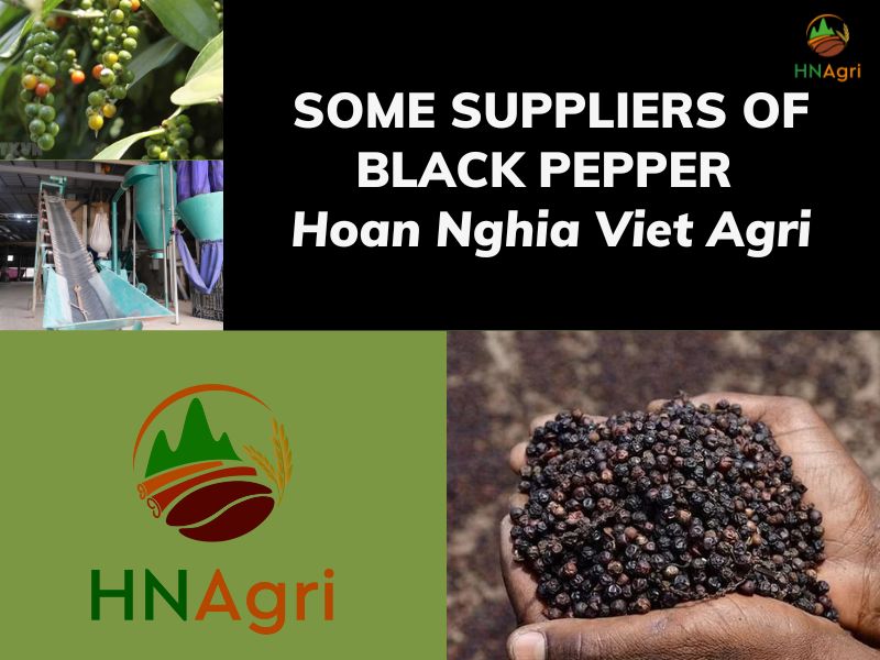 black-pepper-is-more-familiar-in-daily-life-than-you-notice 8 