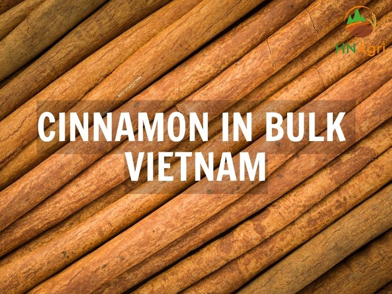 purchase-cinnamon-in-bulk-will-bring-vast-profits-to-your-company-5