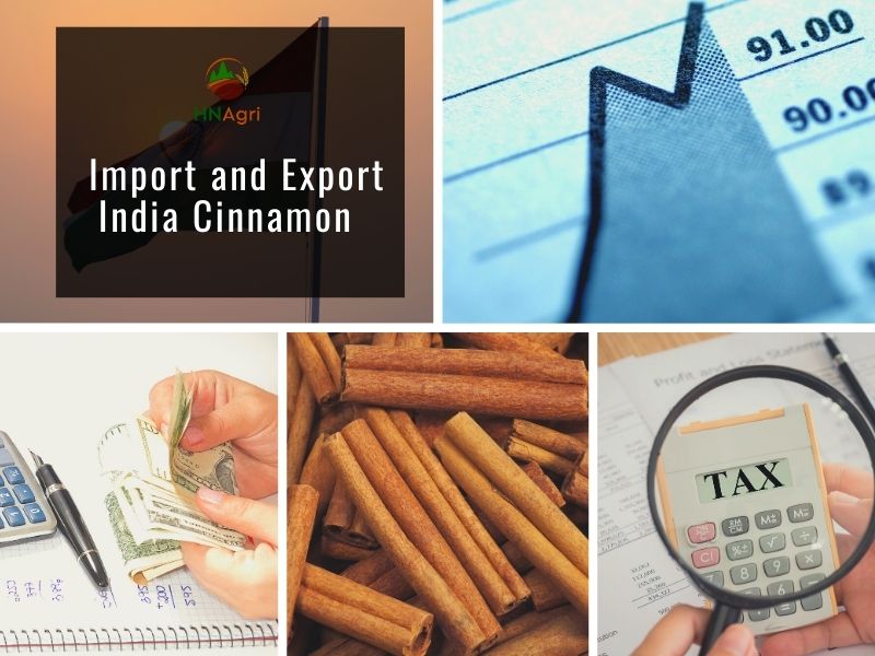 potential-indian-cinnamon-market-you-must-take-advantage-of-3