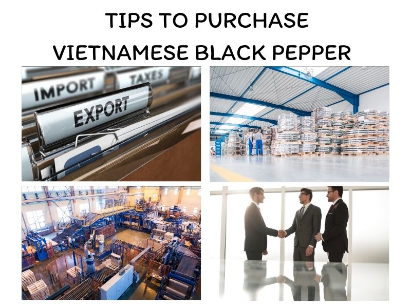 vietnamese-black-pepper-and-important-things-you-should-know-9