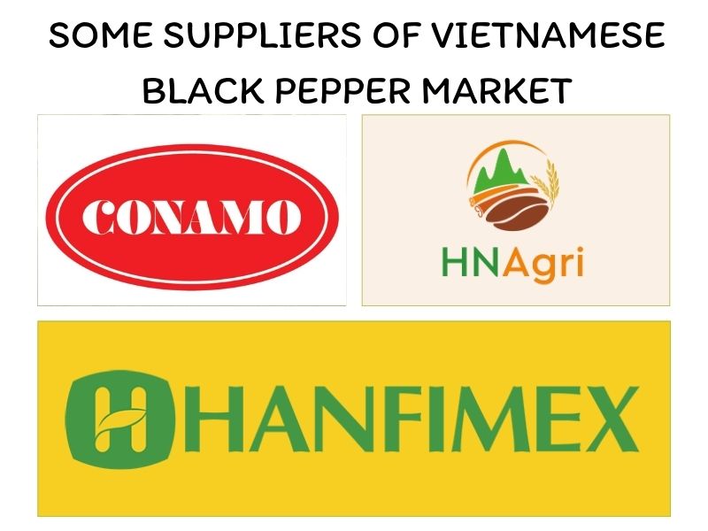 vietnamese-black-pepper-and-important-things-you-should-know-11