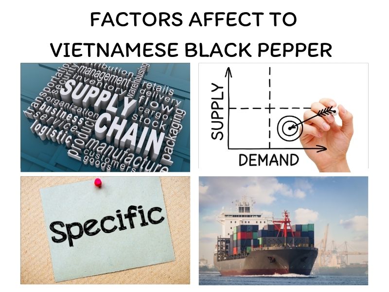 vietnamese-black-pepper-and-important-things-you-should-know-8