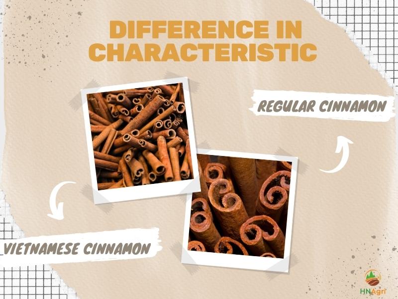 vietnamese-cinnamon-vs-regular-cinnamon-the-key-distinctions-what-is-the-difference-between-vietnamese-cinnamon-and-regular-cinnamon