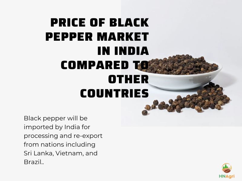 Black Pepper Wholesale Market In India Unexpected Fluctuations