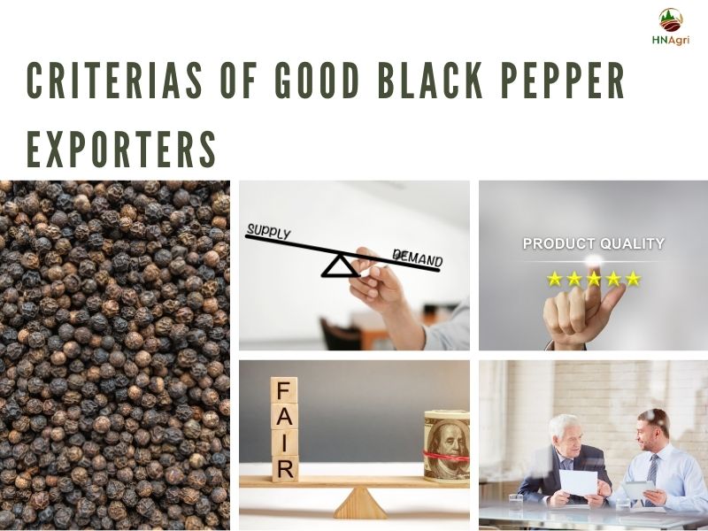 black-pepper-exporters-and-some-critical-details-you-must-know 7
