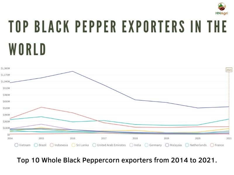 black-pepper-exporters-and-some-critical-details-you-must-know 2