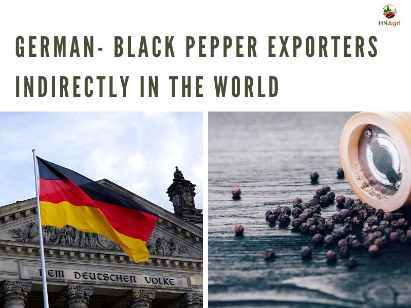 black-pepper-exporters-and-some-critical-details-you-must-know 5