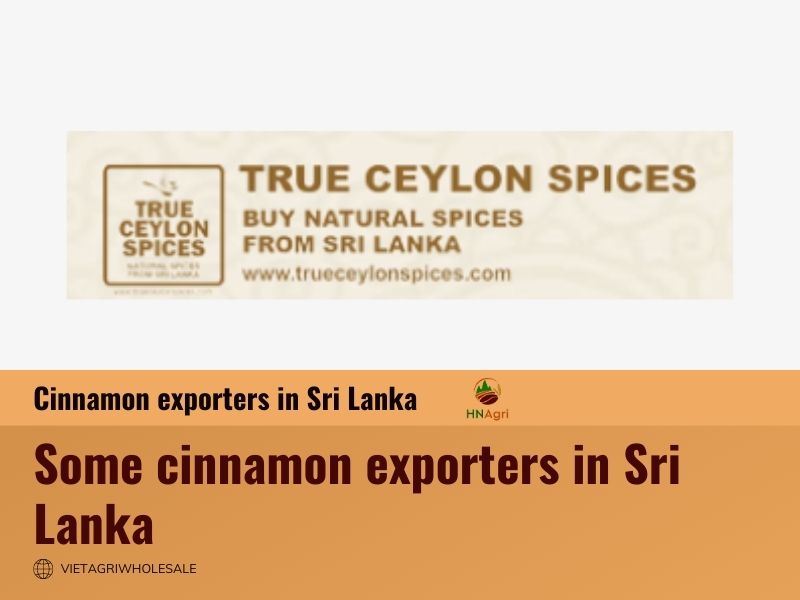 cinnamon-exporters-in-sri-lanka-the-perfect-partner-corporations-11