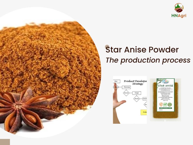 Star Anise Powder Which Spice Has Many Uses That Not Everyone Knows