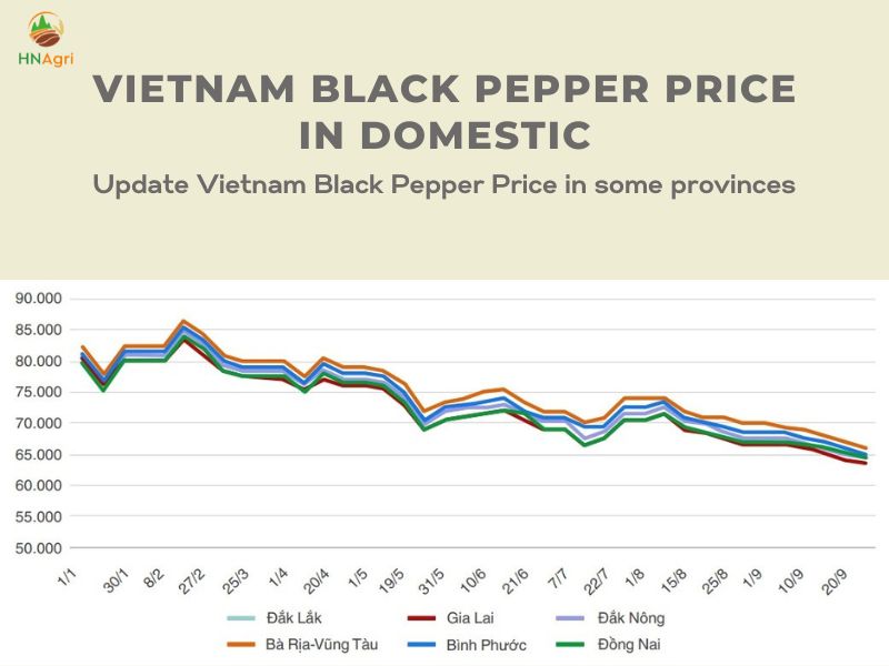 vietnam-black-pepper-price-with-high-quality-products-6