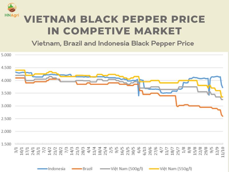 vietnam-black-pepper-price-with-high-quality-products-8