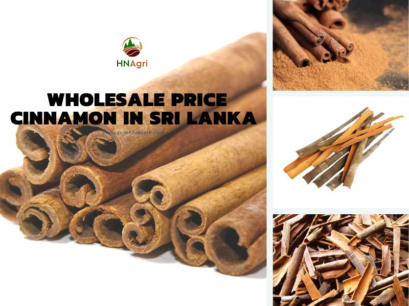 cinnamon-wholesale-price-in-sri-lanka-at-its-true-market-value-1