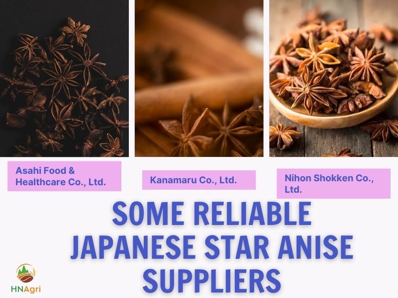 benefits-of-japanese-star-anise-to-the-importers/-8