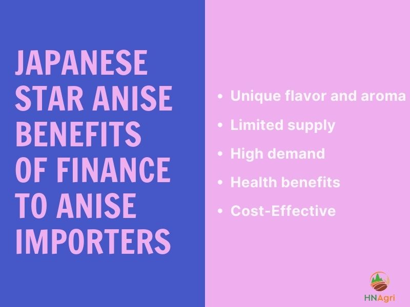 benefits-of-japanese-star-anise-to-the-importers/-2