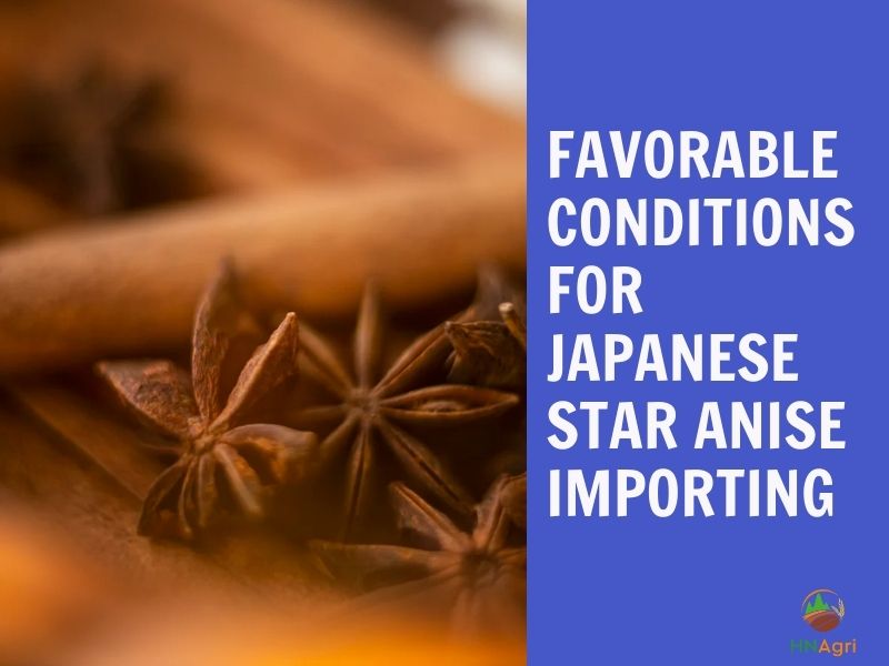 benefits-of-japanese-star-anise-to-the-importers/-3