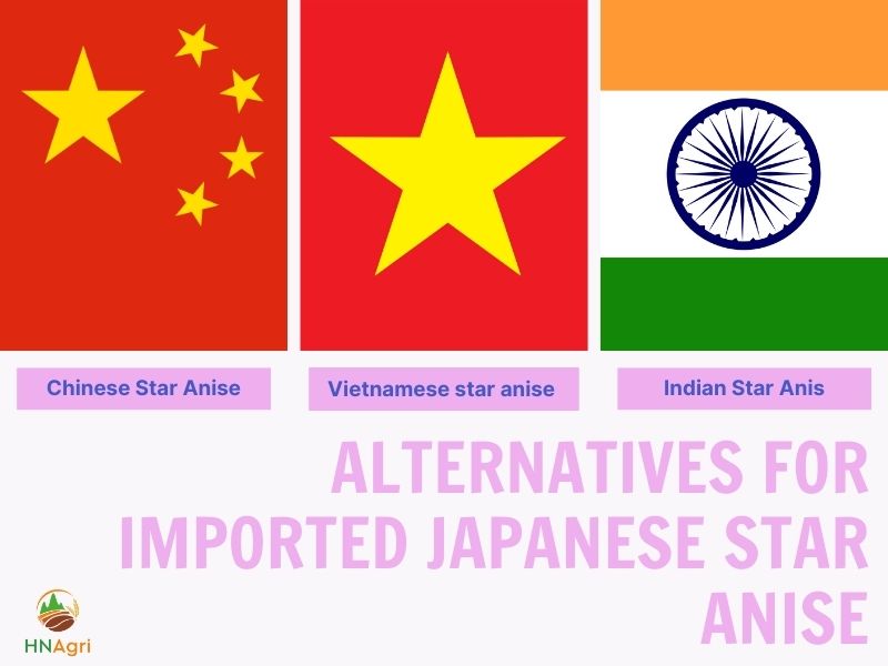 benefits-of-japanese-star-anise-to-the-importers/-4