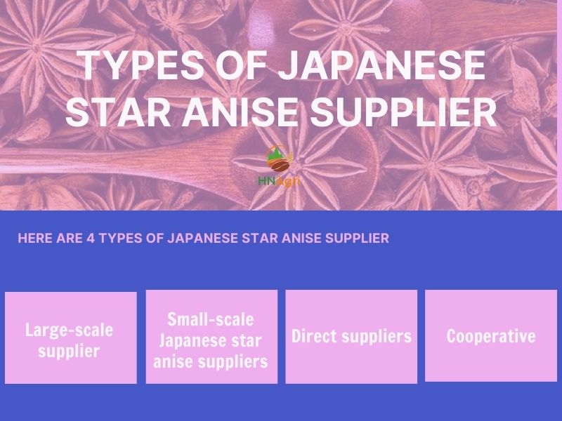 benefits-of-japanese-star-anise-to-the-importers/-5