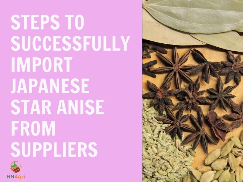 benefits-of-japanese-star-anise-to-the-importers/-6