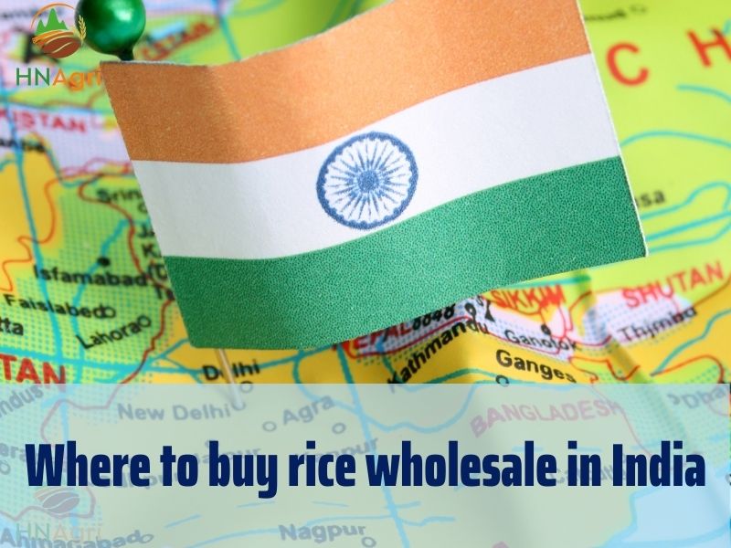 where-to-buy-rice-wholesale-for-high-quality-rice-2