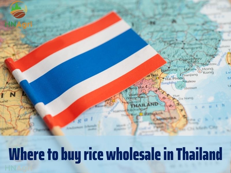 where-to-buy-rice-wholesale-for-high-quality-rice-3