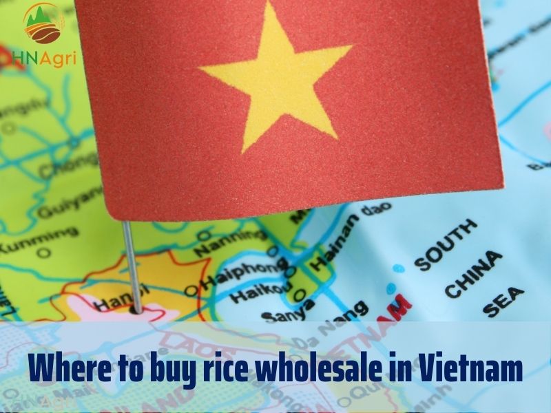 where-to-buy-rice-wholesale-for-high-quality-rice-4