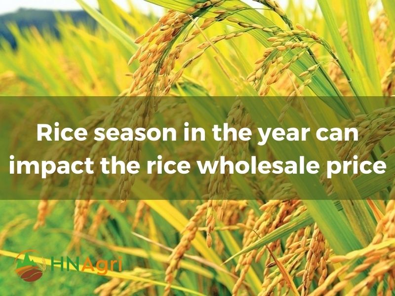 rice-wholesale-price-what-you-need-to-know-to-make-a-purchase-4