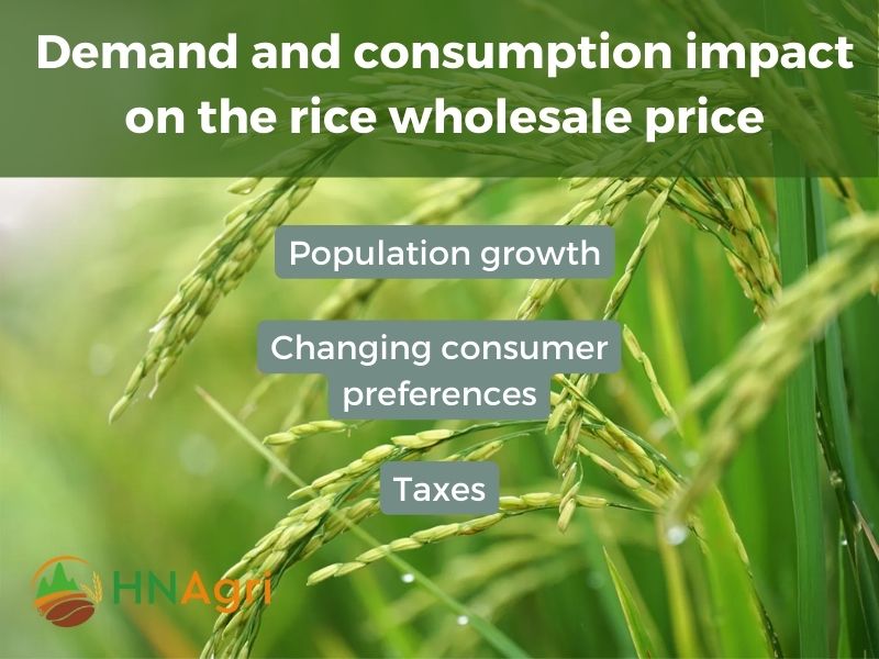 rice-wholesale-price-what-you-need-to-know-to-make-a-purchase-6