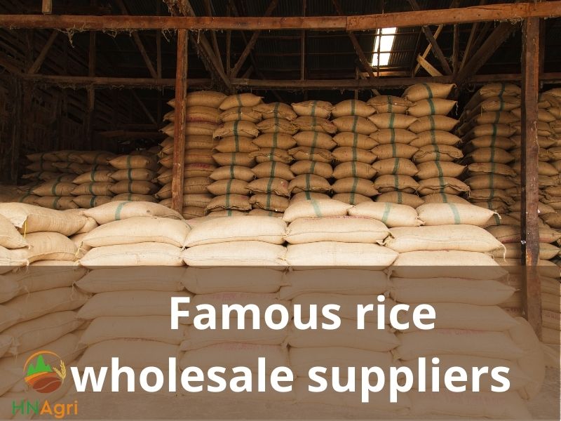 where-to-buy-rice-wholesale-for-high-quality-rice-7