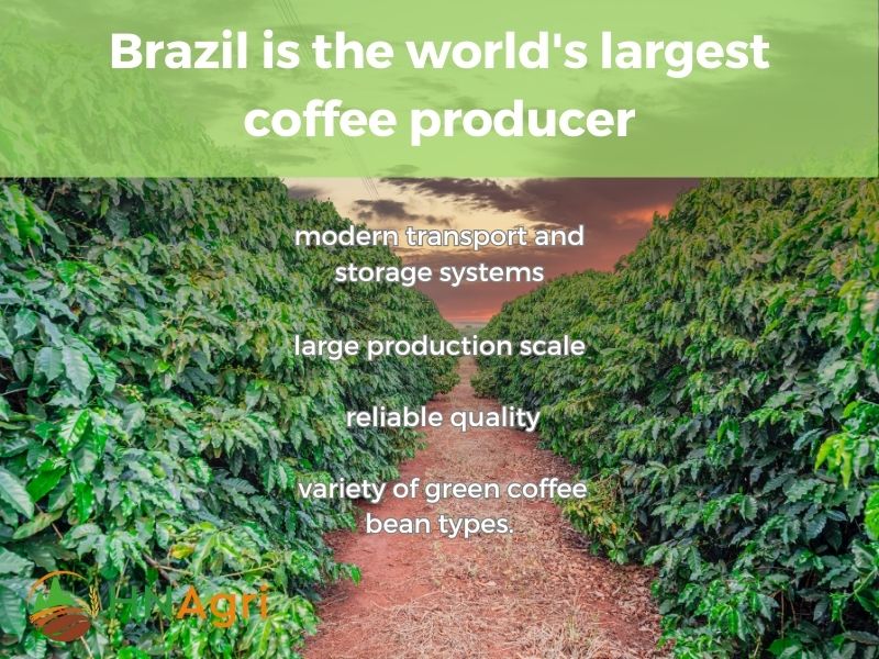 wholesale-green-coffee-beans-the-key-to-a-successful-import-business-5