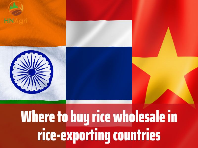 where-to-buy-rice-wholesale-for-high-quality-rice-1