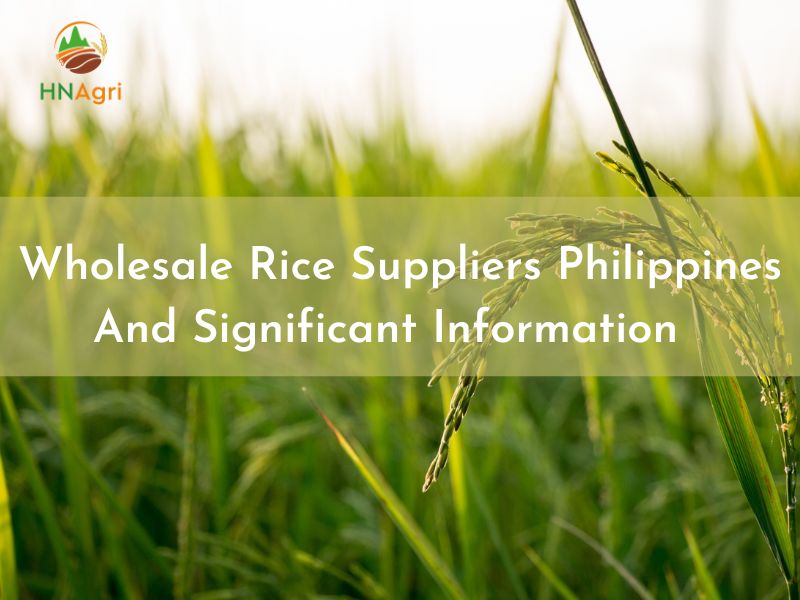 Wholesale Rice Suppliers Philippines And Significant Information