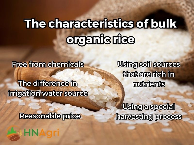 maximizing-profits-with-bulk-organic-rice-a-guide-for-wholesalers-1