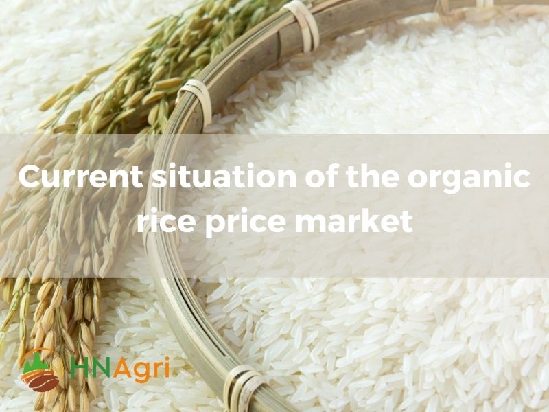 organic-rice-price-guide-for-wholesalers-to-maximizing-profits-2