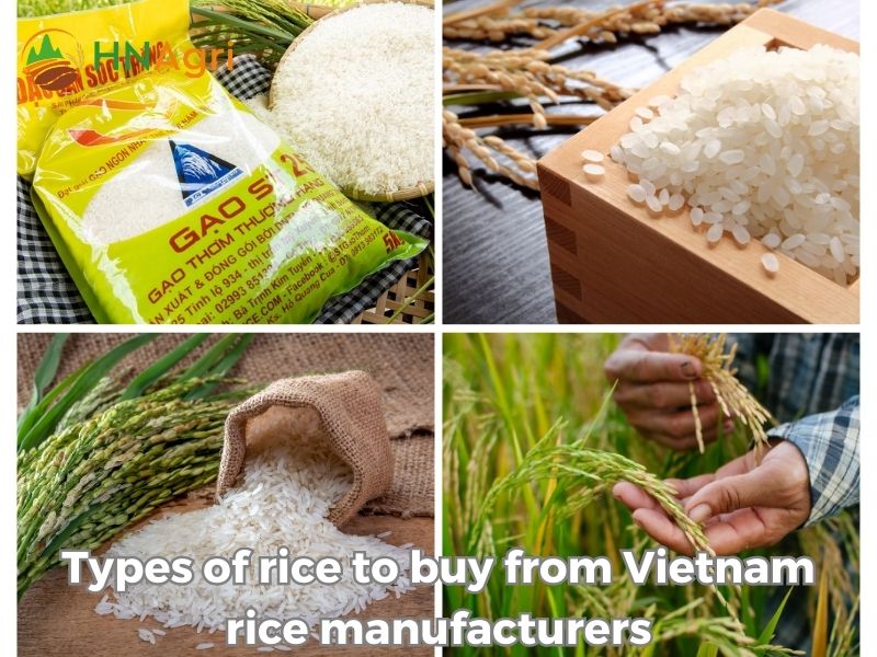 how-to-find-a-reliable-vietnam-rice-manufacturer-3