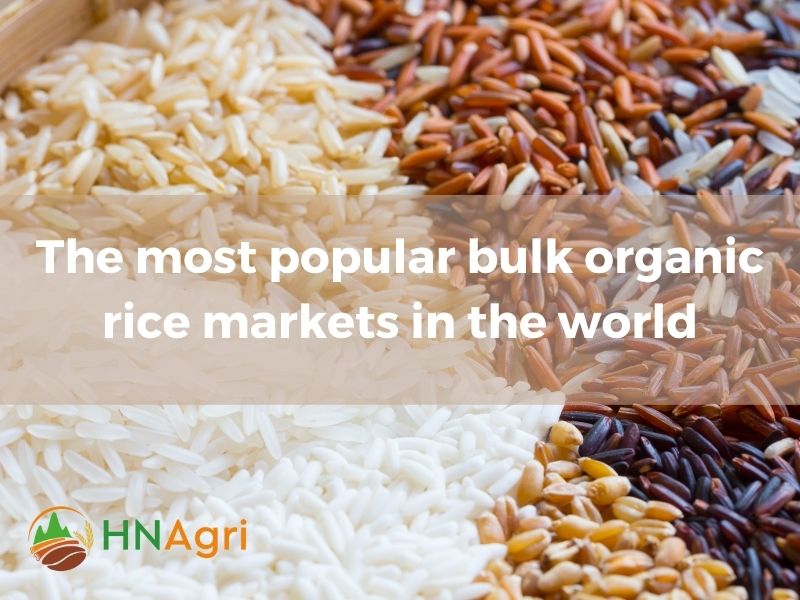 maximizing-profits-with-bulk-organic-rice-a-guide-for-wholesalers-3