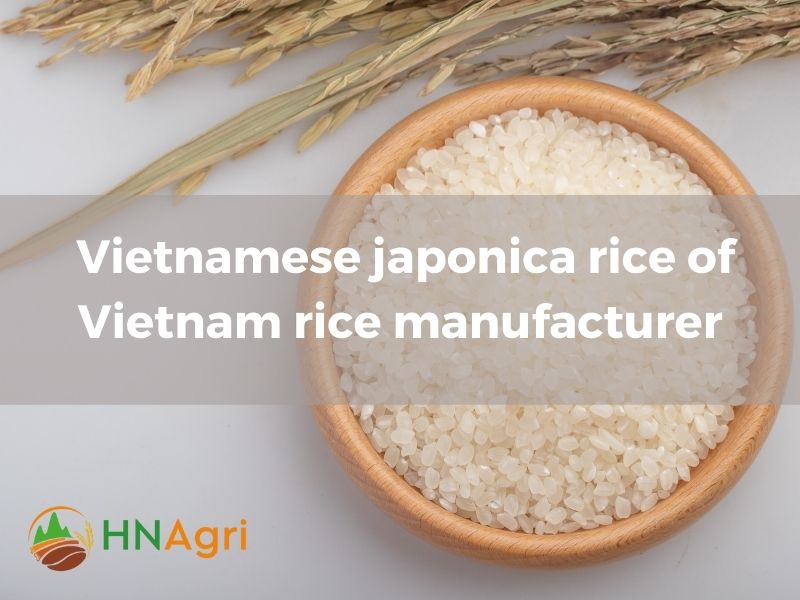 how-to-find-a-reliable-vietnam-rice-manufacturer-7